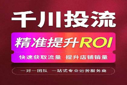 成功案例：SEM托管提升网站流量策略